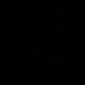 Meet your Posher, Toby